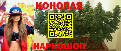 прущая мука Будённовск