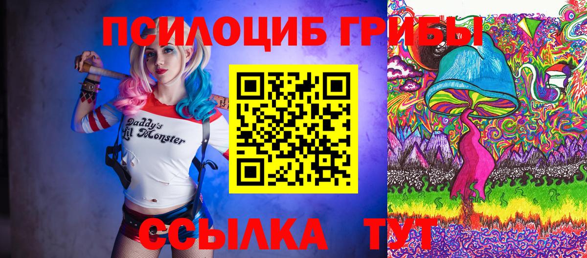 Псилоцибиновые грибы Cubensis  Вход с VPN  Таганрог 